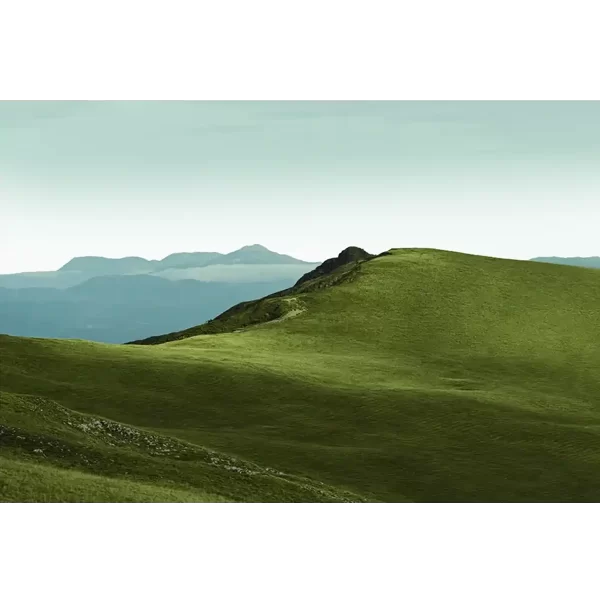 Nepregledna padina na Bjelasici, prekrivena travom i sjenkama