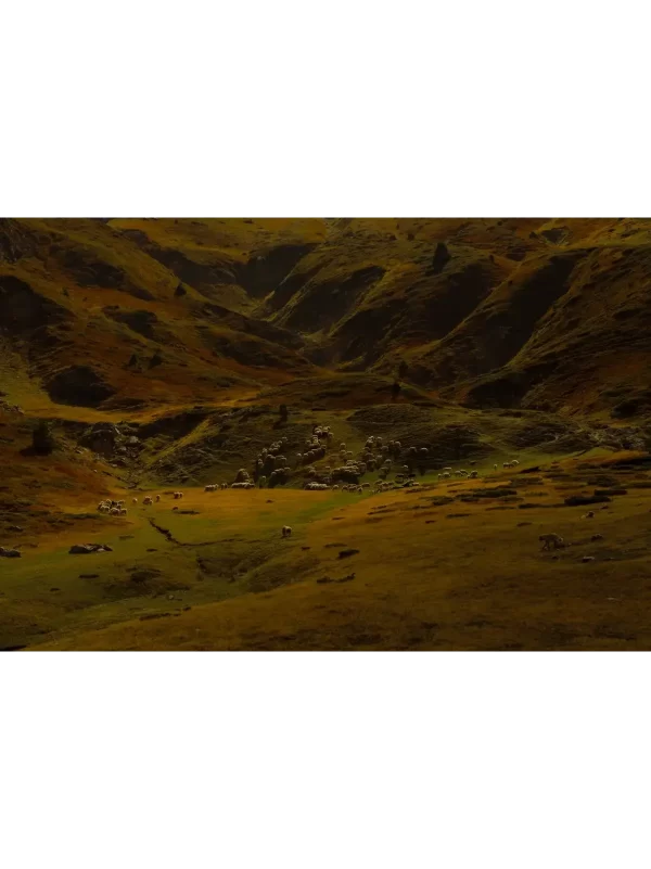 Fotografija stada ovaca na padinama planina