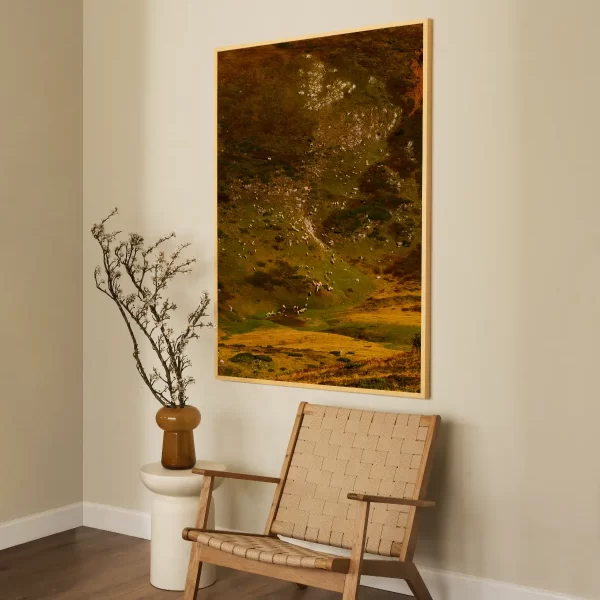 Fotografija nizbrdice i na njoj kao biseri prosuti ovce, njih preko 200 i par krava, spuštaju se da piju vodu. Na fotografiji ogromnih dimenzija.