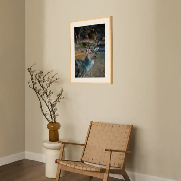 Jelen koji gleda nježnim pogledom - slika za zid medium