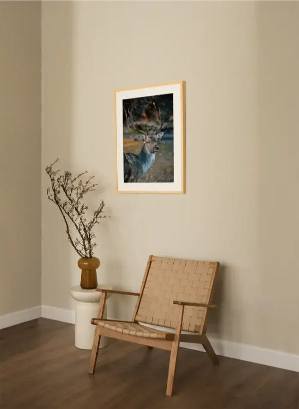 Jelen koji gleda nježnim pogledom - slika za zid medium