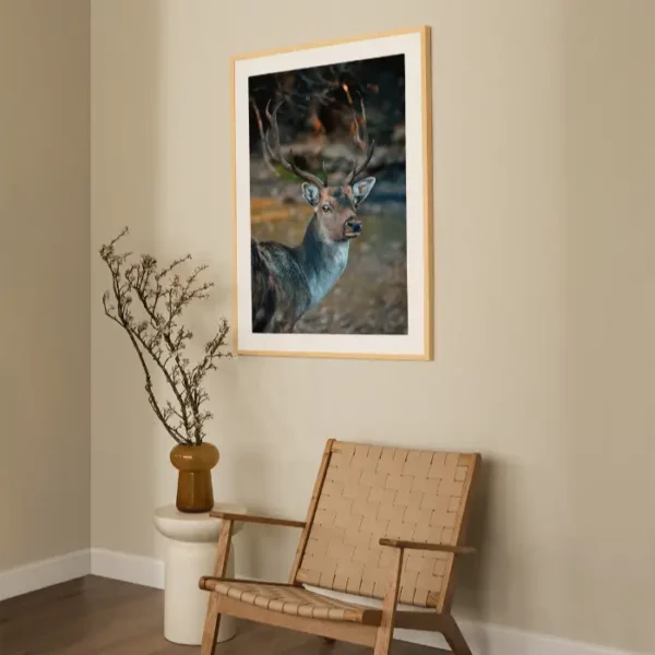 Jelen koji gleda nježnim pogledom - slika za zid large