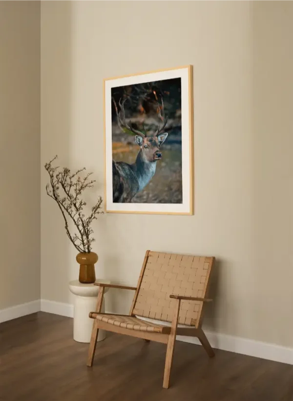 Jelen koji gleda nježnim pogledom - slika za zid large