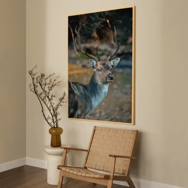 Jelen koji gleda nježnim pogledom - slika za zid x large