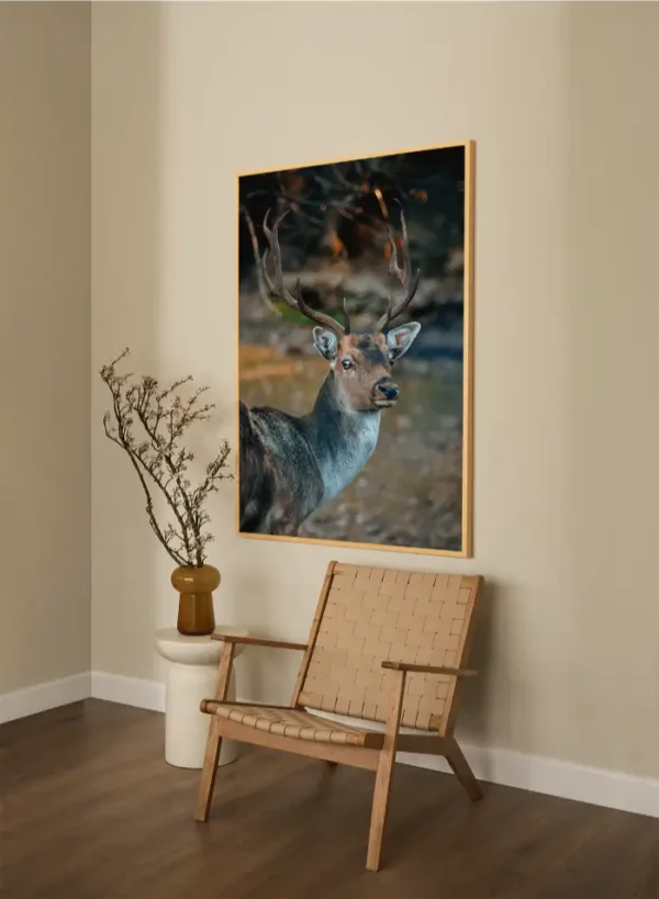 Jelen koji gleda nježnim pogledom - slika za zid x large