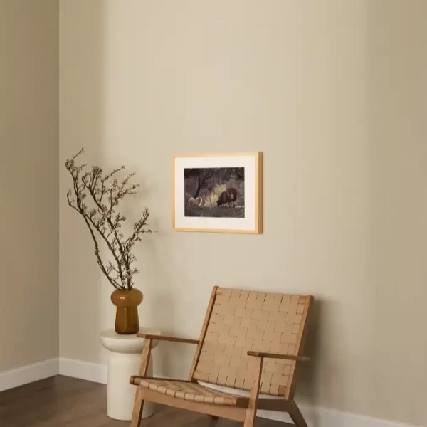 Bijela i smeđa na proplanku maslina - slika za zid small