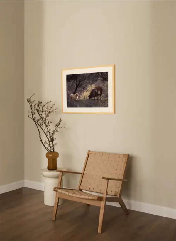 Bijela i smeđa na proplanku maslina - slika za zid medium