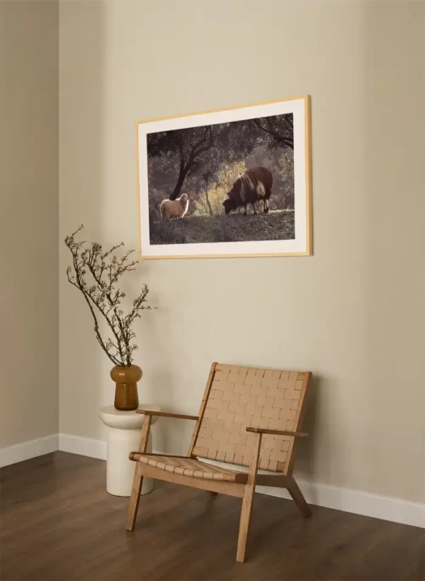 Bijela i smeđa na proplanku maslina - slika za zid large