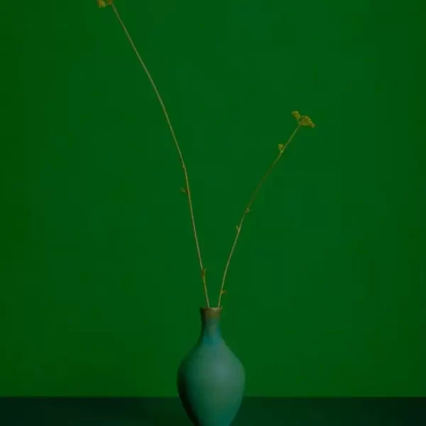 Dva cvijeta trave u maloj zelenoj vazi.