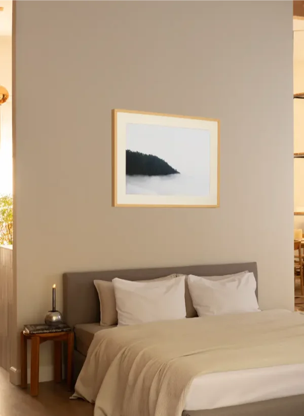 Fotografija šume koja nestaje u magli - slika na zidu sobe medium