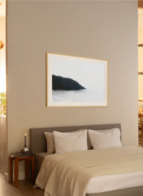 Fotografija šume koja nestaje u magli - slika na zidu sobe large