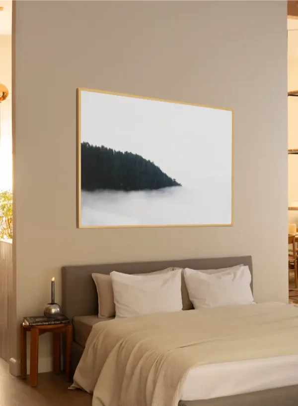 Fotografija šume koja nestaje u magli - slika na zidu sobe x large