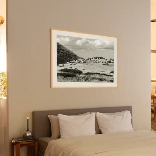 Stado ovaca visoko na planini, pod oblacima - slika na zidu sobe large