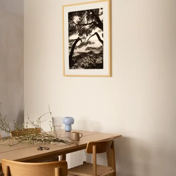 Morska obala i drveće koje vas vodi - slika na zidu medium