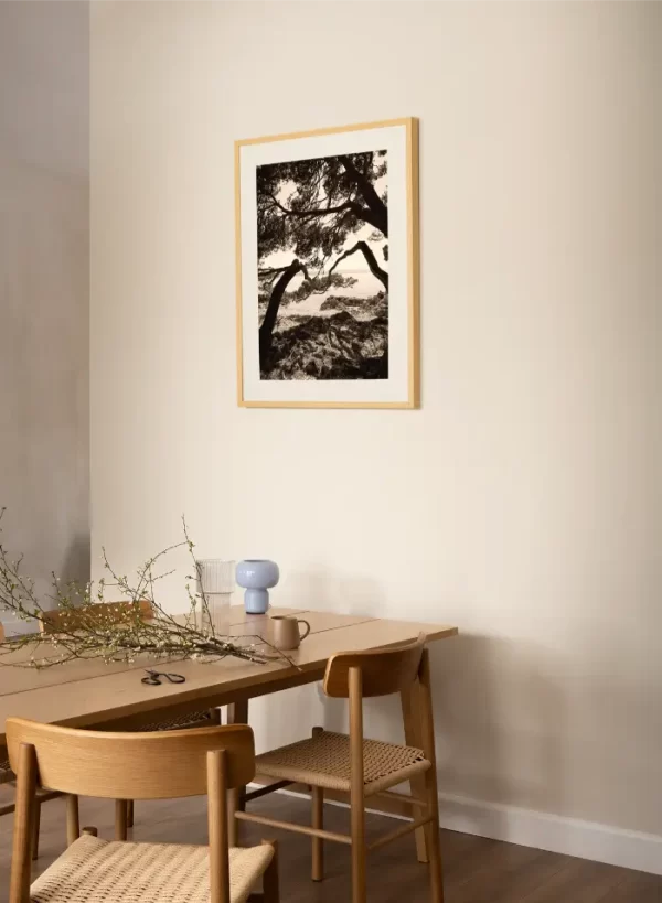 Morska obala i drveće koje vas vodi - slika na zidu medium