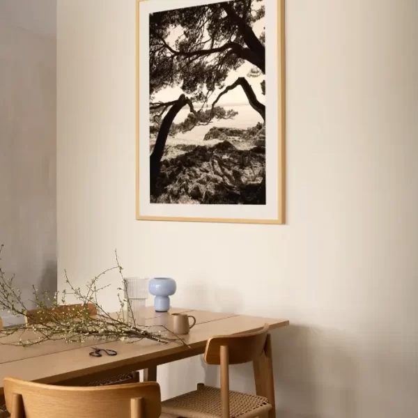 Morska obala i drveće koje vas vodi - slika na zidu large