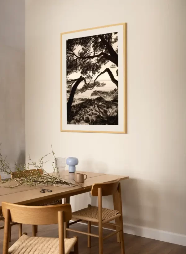 Morska obala i drveće koje vas vodi - slika na zidu large