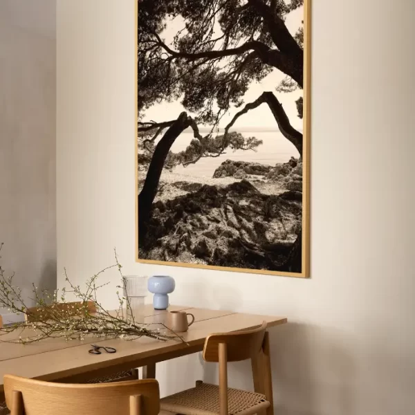 Morska obala i drveće koje vas vodi - x large