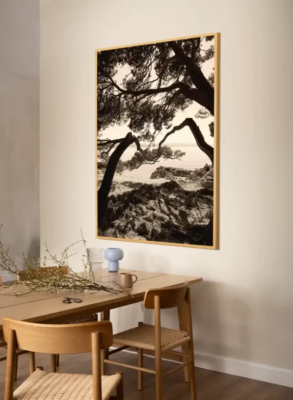 Morska obala i drveće koje vas vodi - x large