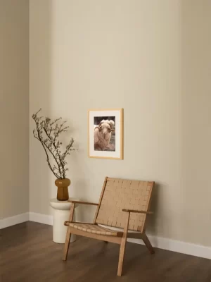 Bijeli ovan sa predivnim rogovima - slika na zidu small