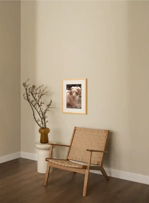 Bijeli ovan sa predivnim rogovima - slika na zidu small