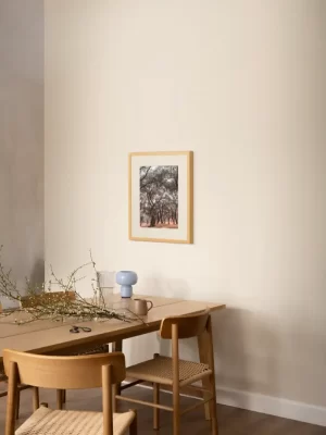 Šuma maslina sa obale Jadrana - slika za zid small