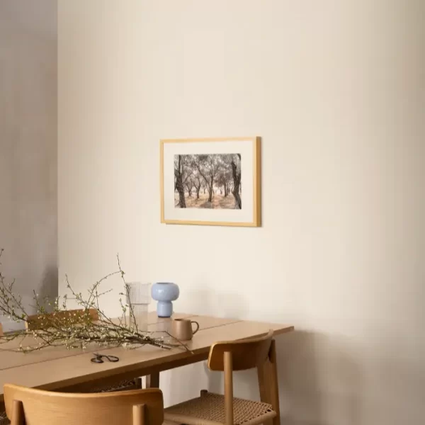 Šuma maslina sa obale Jadrana - slika za zid small