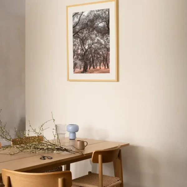 Šuma maslina sa obale Jadrana - slika za zid medium