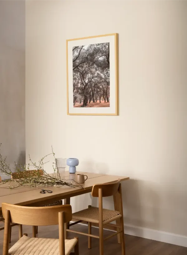 Šuma maslina sa obale Jadrana - slika za zid medium