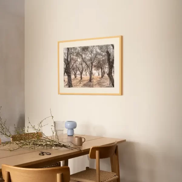 Šuma maslina sa obale Jadrana - slika za zid medium