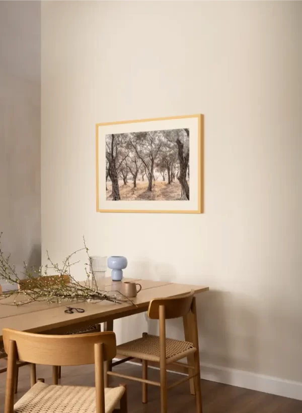 Šuma maslina sa obale Jadrana - slika za zid medium