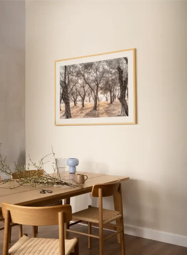 Šuma maslina sa obale Jadrana - slika za zid large