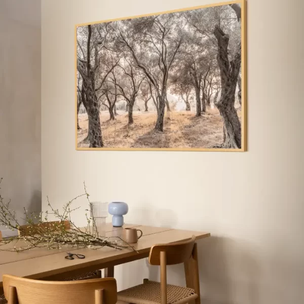 Šuma maslina sa obale Jadrana - slika za zid x large