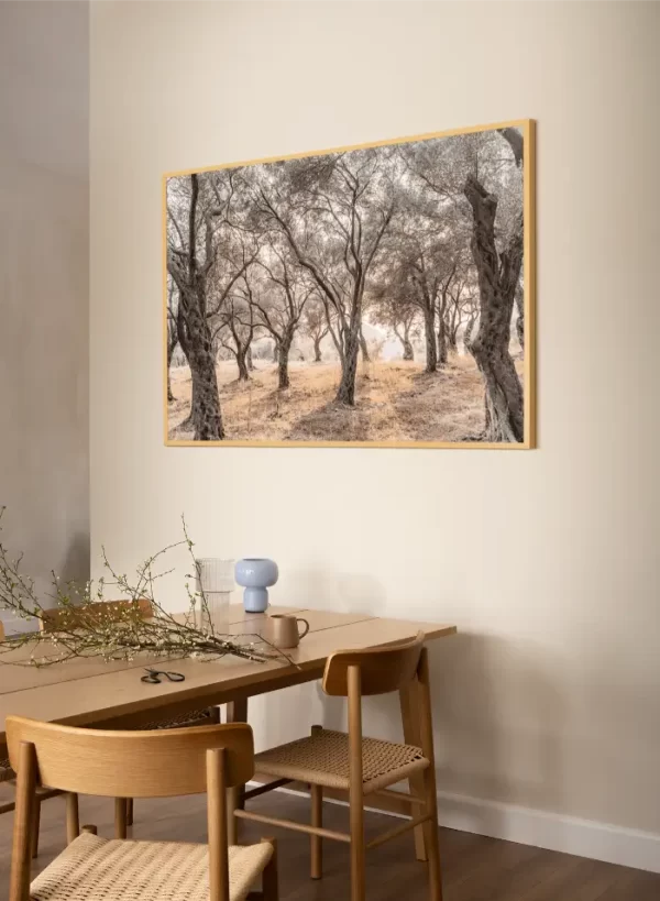 Šuma maslina sa obale Jadrana - slika za zid x large