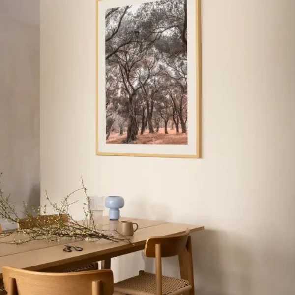 Šuma maslina sa obale Jadrana - slika za zid large