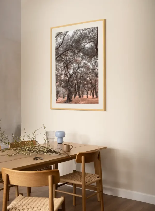 Šuma maslina sa obale Jadrana - slika za zid large