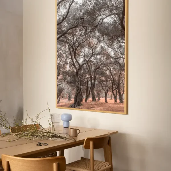 Šuma maslina sa obale Jadrana - slika za zid x large