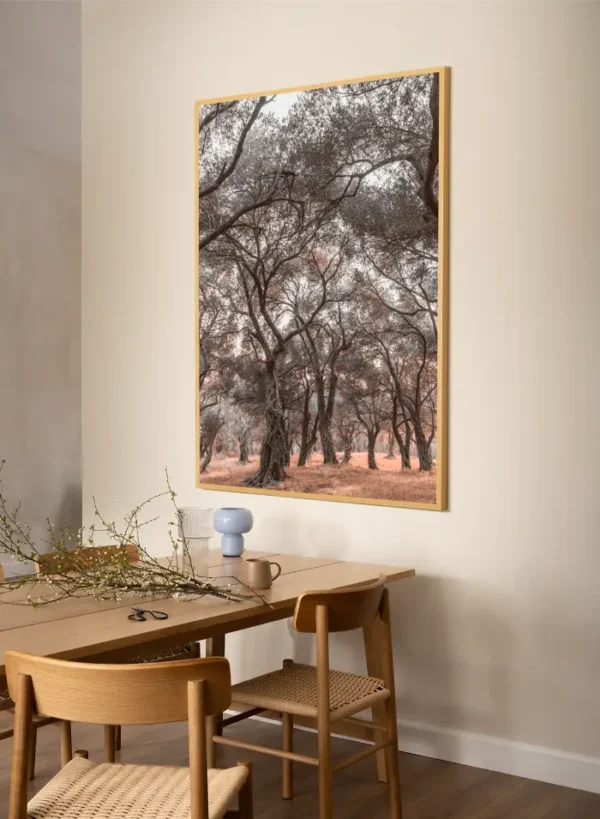 Šuma maslina sa obale Jadrana - slika za zid x large