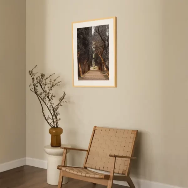 Staza koja vodi kroz drvored čempresa - slika na zidu medium