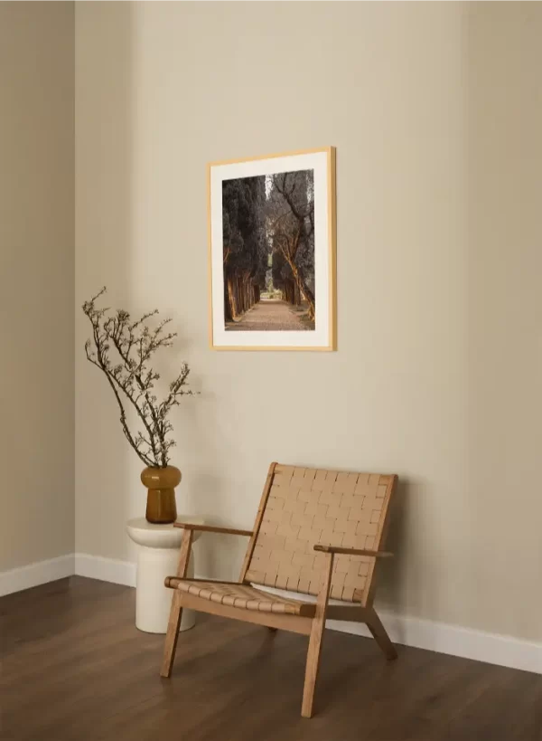 Staza koja vodi kroz drvored čempresa - slika na zidu medium