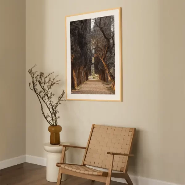 Staza koja vodi kroz drvored čempresa - slika na zidu large