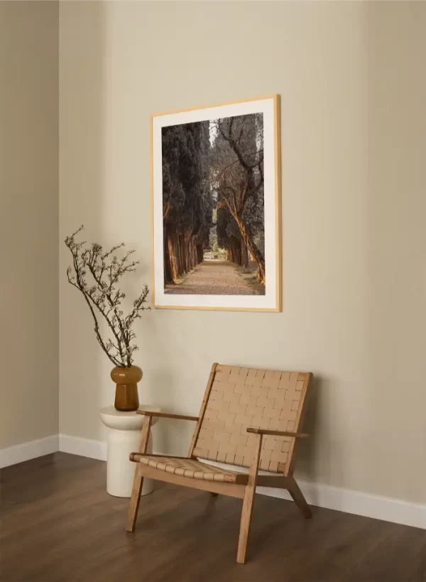 Staza koja vodi kroz drvored čempresa - slika na zidu large