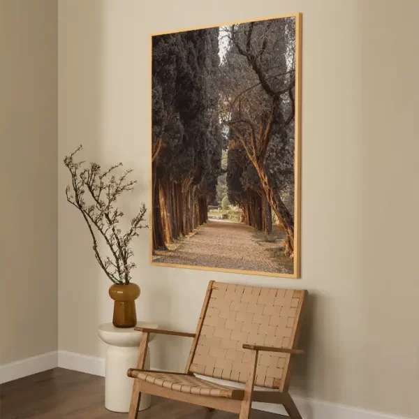 Staza koja vodi kroz drvored čempresa - slika na zidu x large