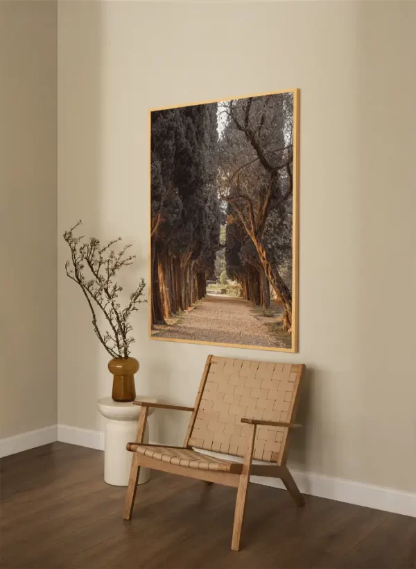 Staza koja vodi kroz drvored čempresa - slika na zidu x large