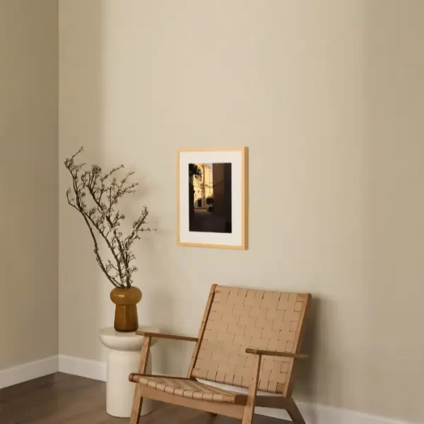 Mačka koja gleda u smjeru katedrale - slika za zid small