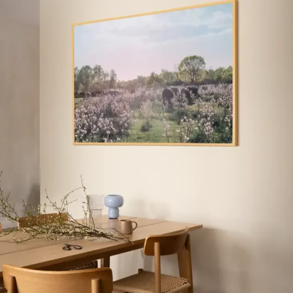 Jutro na livadi sa kravama u cvijeću - slika za zid x large