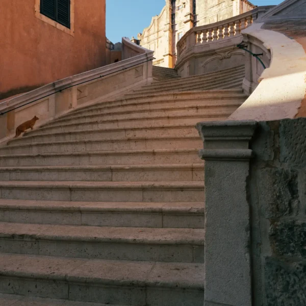 Stepenište u Dubrovniku snimljeno odozdo, uz koje se penje mačka. Plavo nebo i narandžasta kuća.