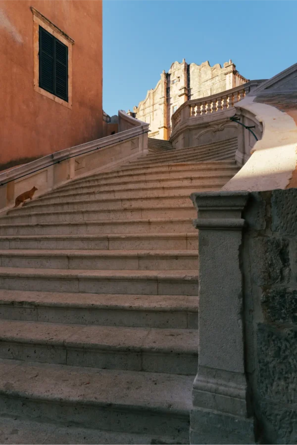 Stepenište u Dubrovniku snimljeno odozdo, uz koje se penje mačka. Plavo nebo i narandžasta kuća.