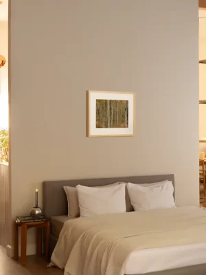 Prašuma Biogradske gore - slika na zidu sobe u small