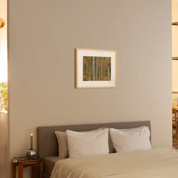 Prašuma Biogradske gore - slika na zidu sobe u small